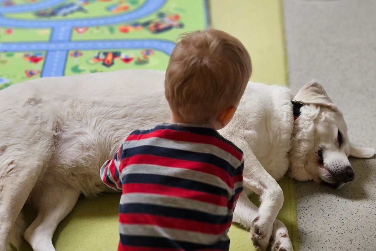 Besuchshündin Bonnie stattet den Kindern in der Weimarstraße jeden Dienstag einen Besuch ab Besuchshündin Bonnie stattet den Kindern in der Weimarstraße jeden Dienstag einen Besuch ab