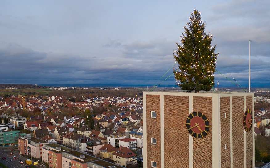 Weihnachtsbaum auf dem Rathausturm