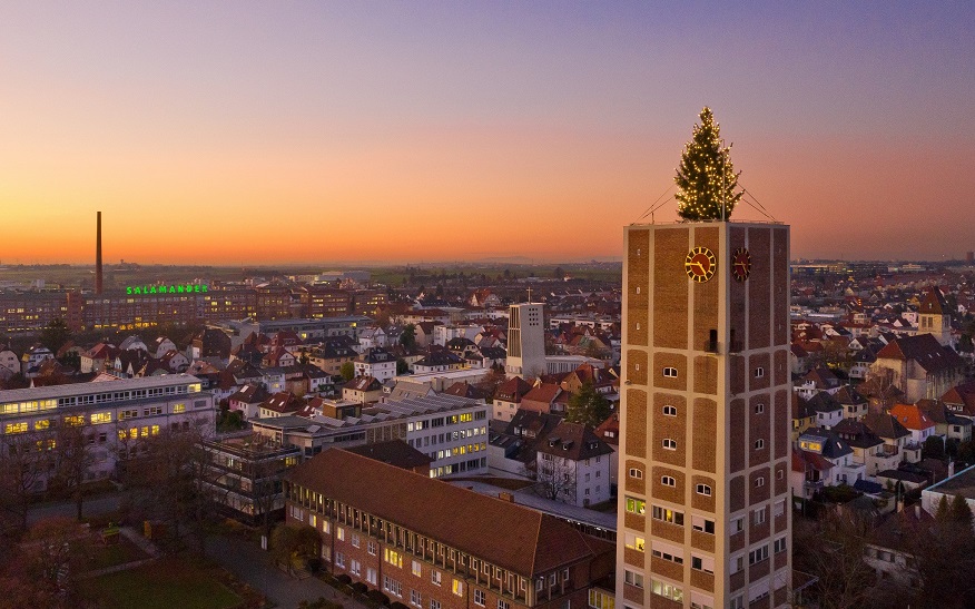 Auch in diesem Jahr werden wieder Weihnachtsbäume gesucht, die die Stadt und den Rathausturm schmücken.