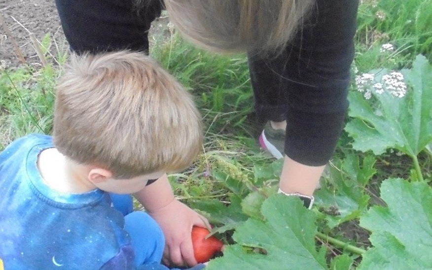 Die Kinder der Bebelstraße ernten ihre Kürbisse