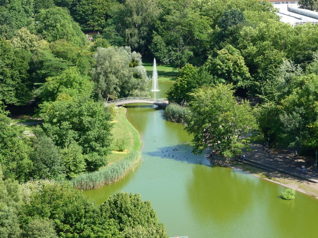 Salamander Stadtpark