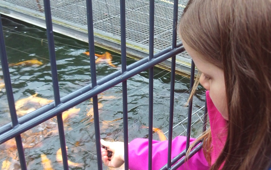 Die Fische zu füttern war für viele der Kinder das Highlight des Tages.